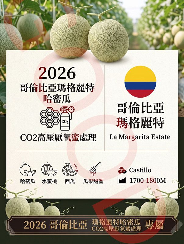 哥倫比亞 瑪格麗特莊園 哈密瓜CO2高壓厭氧蜜處理2026