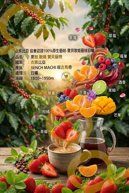 衣索比亞 協會認證100%原生藝妓-寶貝歌姬藝妓日曬