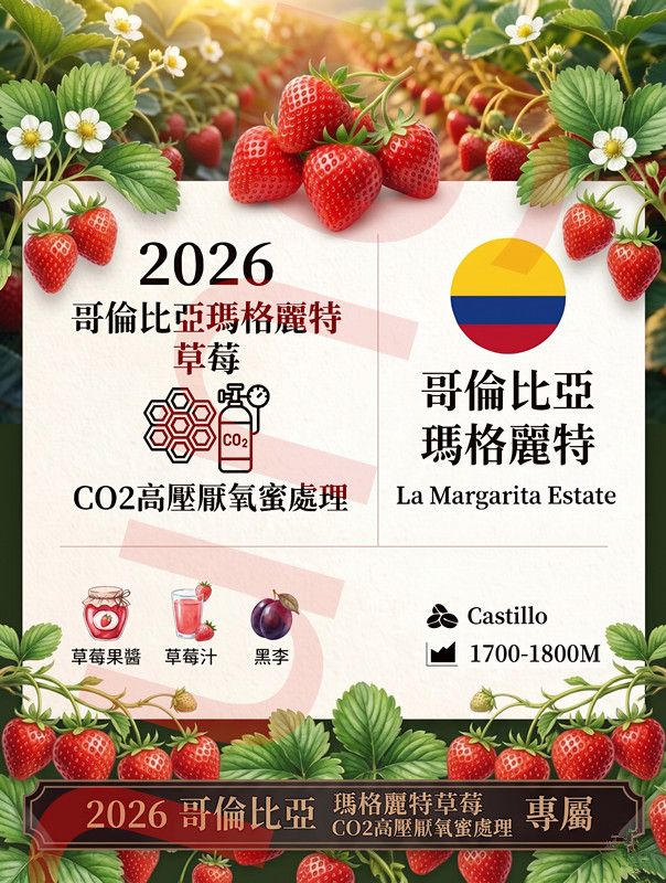 2026 哥倫比亞 瑪格麗特 草莓 CO2高壓厭氧蜜處理