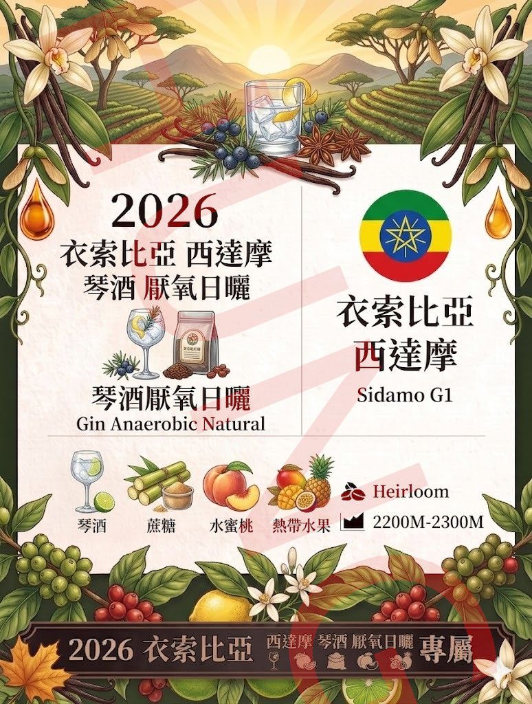 NEW衣索比亞 西達摩 琴酒 厭氧日曬 G1