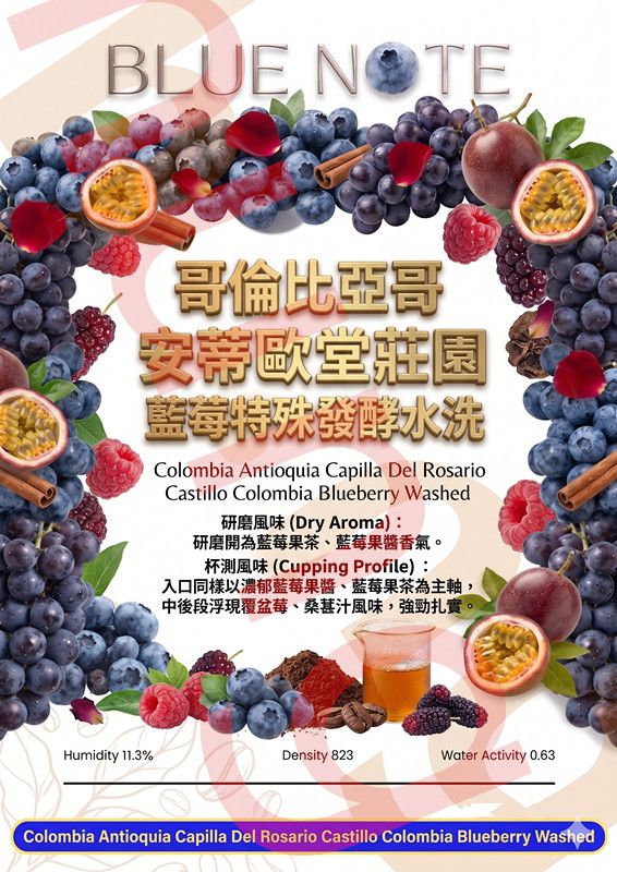 哥倫比亞哥 安蒂歐奇雅 玫瑰教堂莊園 藍莓特殊發酵 水洗