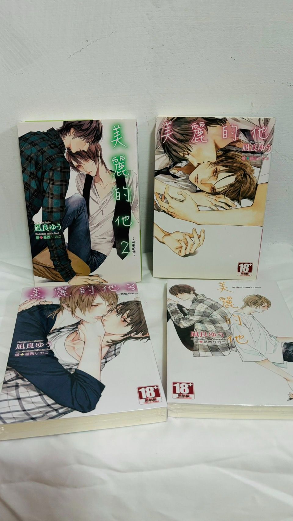 美麗的他小說全套
