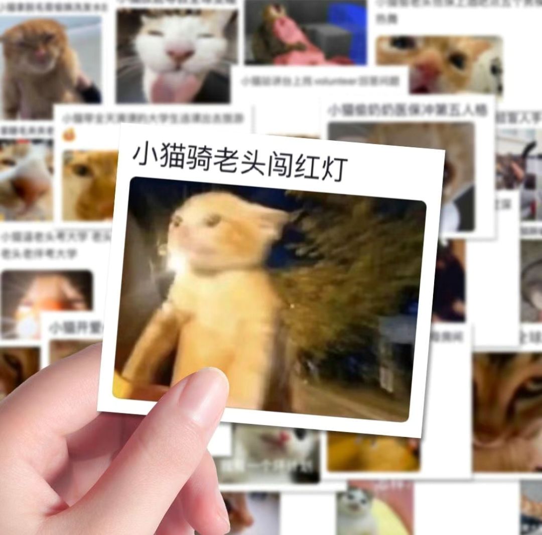 小貓騎老頭闖紅燈