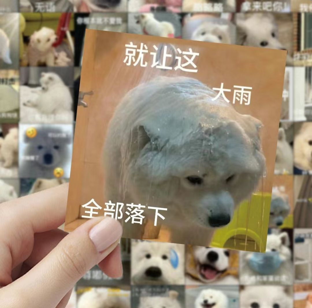 沒有人能拒絕一輛實心耶耶