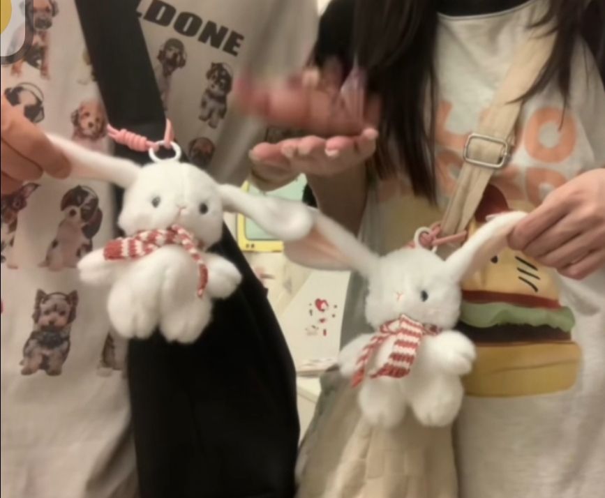 感應兔兔泰迪狗狗單人也能玩！