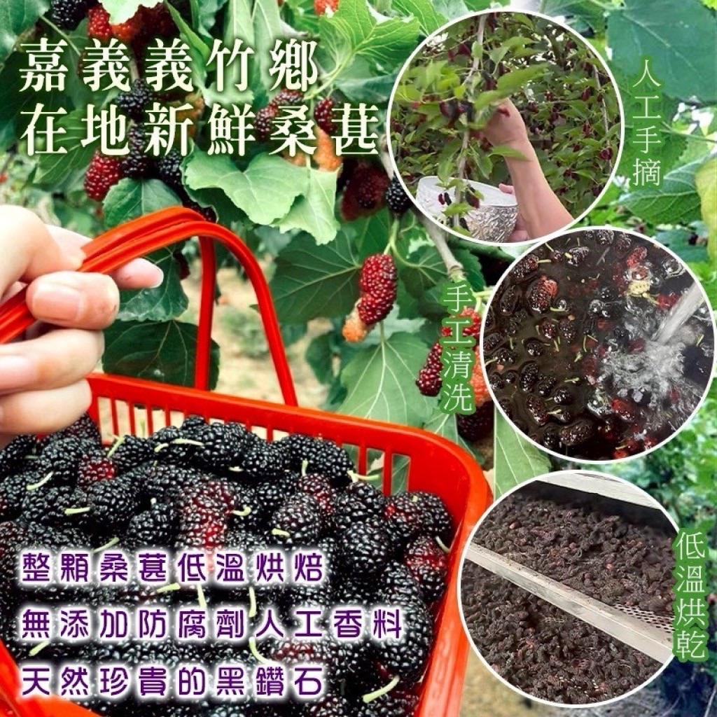 嘉義義竹小農-「黑鑽級」桑椹乾🍇