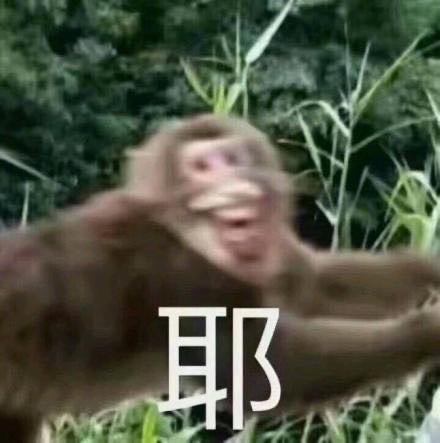 ⠀