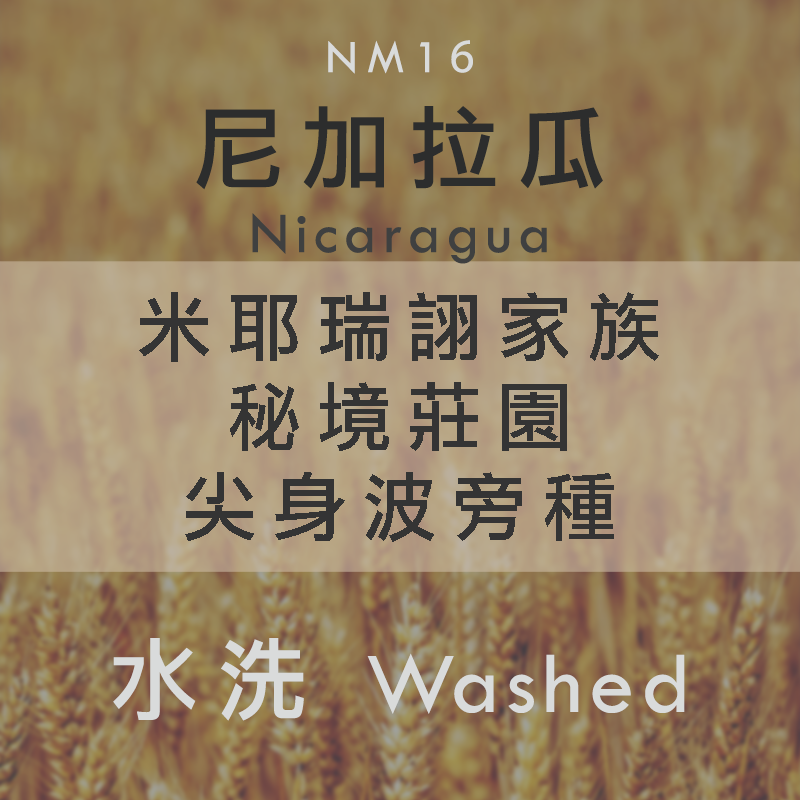 NM16 尼加拉瓜 米耶瑞詡家族 秘境莊園 尖身波旁種