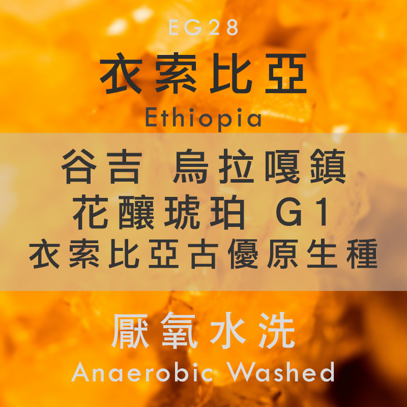 EG28 衣索比亞 古吉 烏拉嘎鎮 花釀琥珀 G1 衣索比亞古優原生種