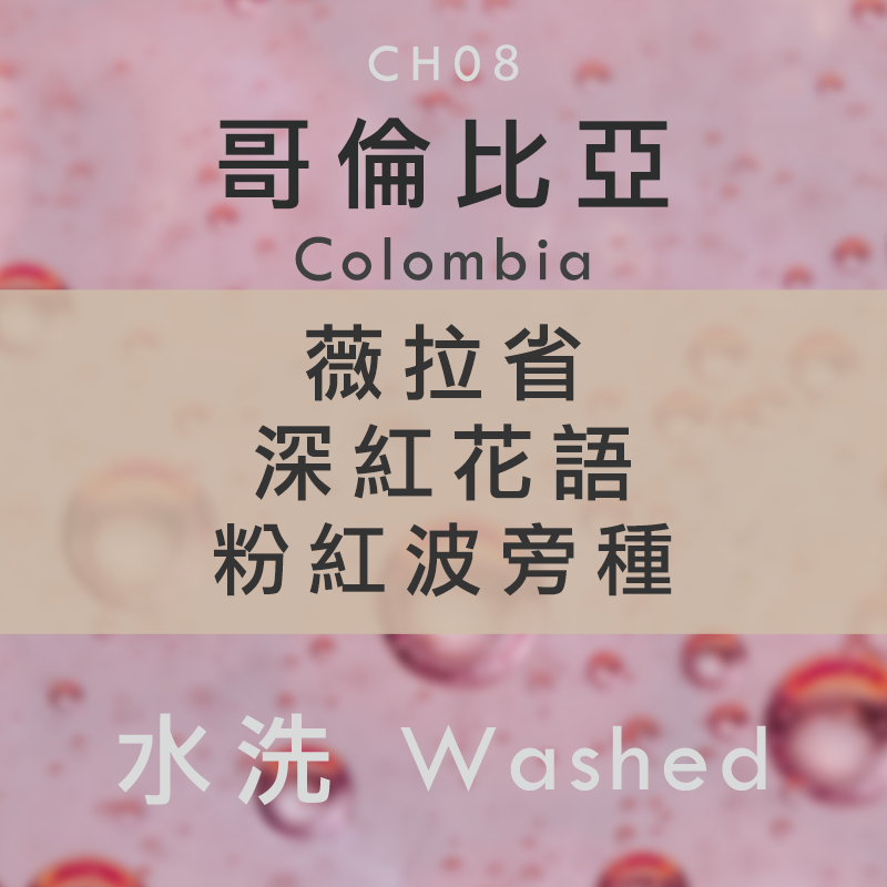 CH08 哥倫比亞 薇拉省 深紅花語 粉紅波旁種