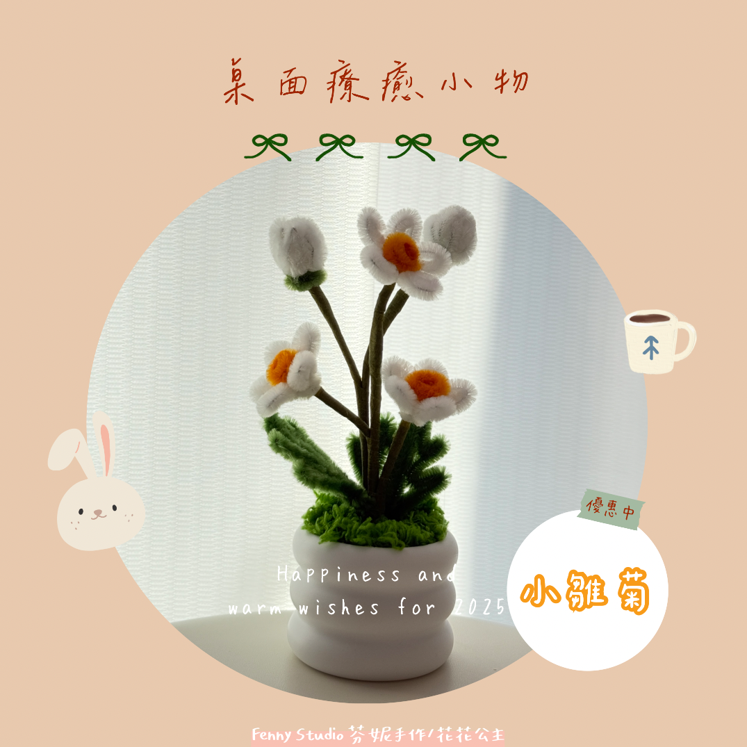 小雛菊 小花盆（白色/黃色）