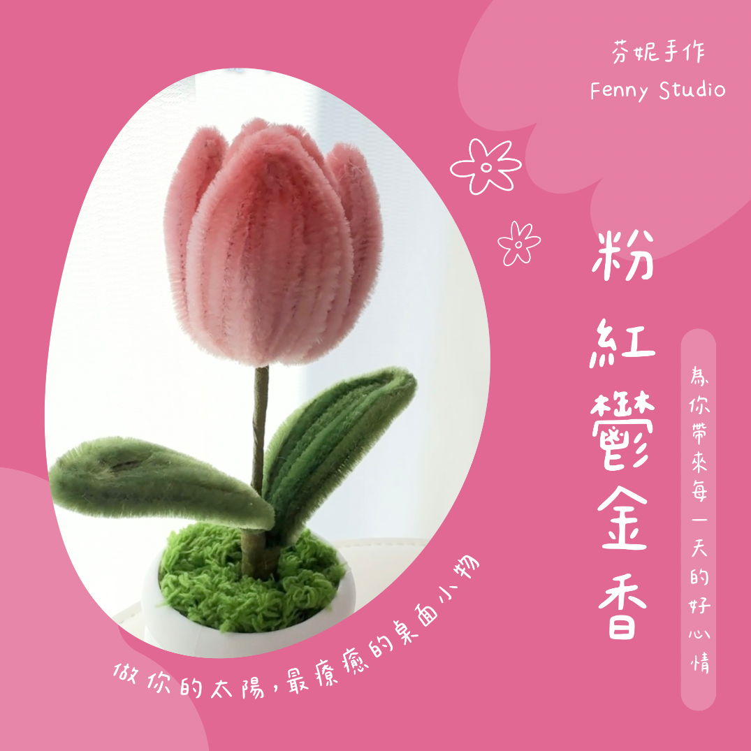 鬱金香各色系列小花盆