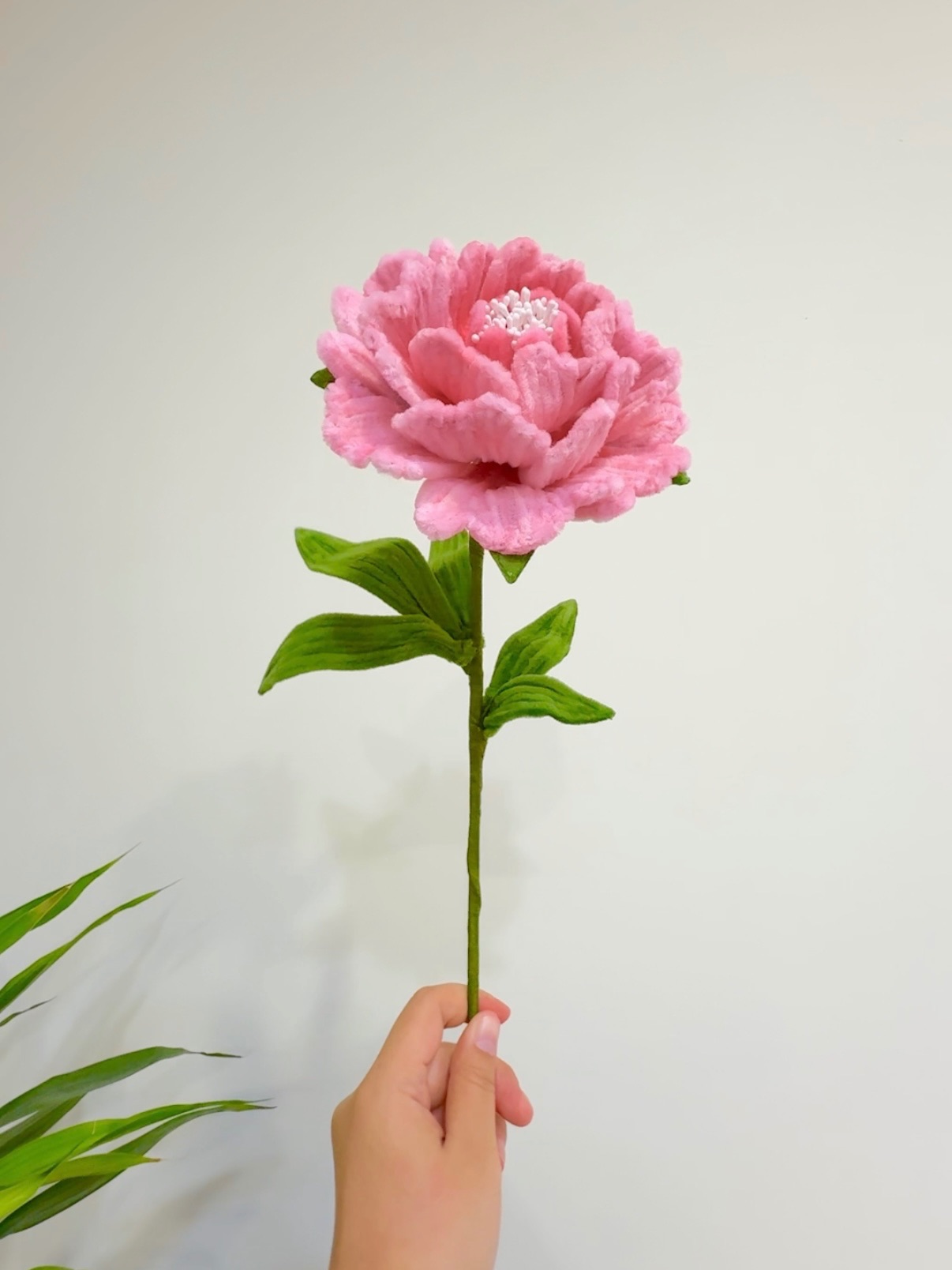 芍藥 Herbaceous peony 純手工手作花束（熱銷中，歡迎提前預訂～）