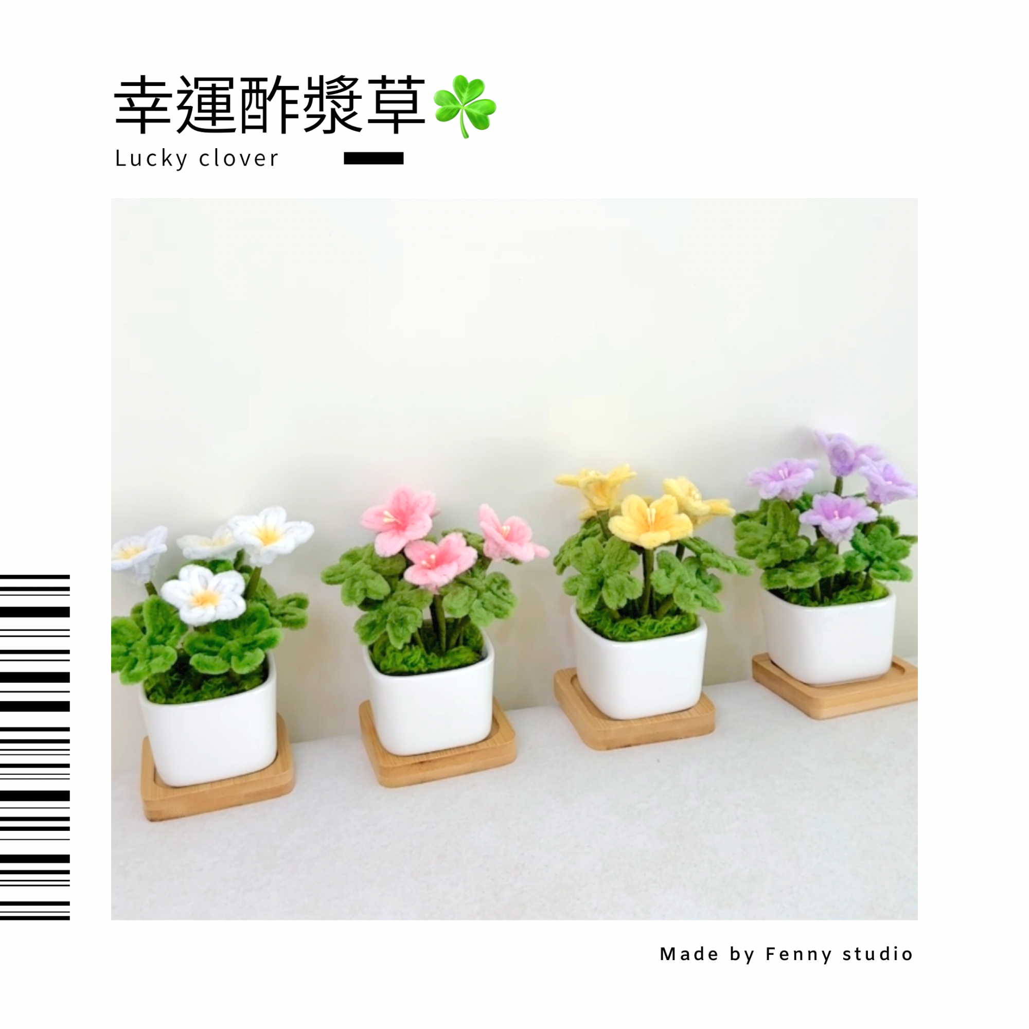 幸運酢漿草（必含幸運四葉草）花禮組