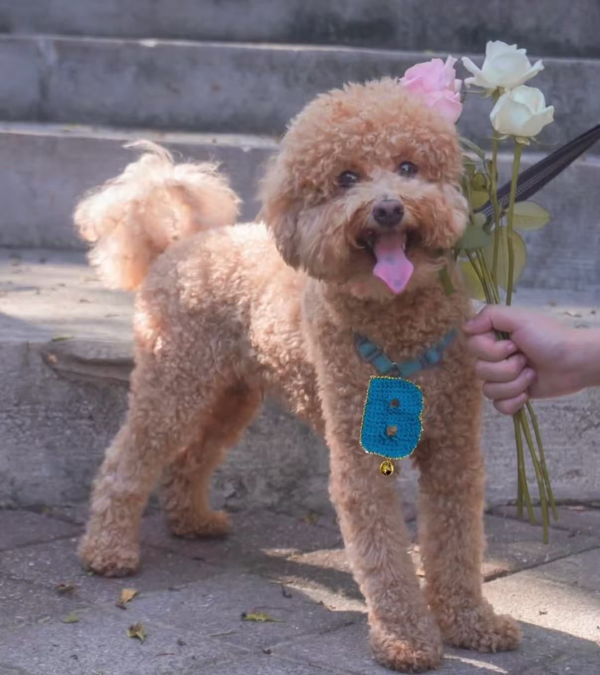 客製化寵物遛繩-掛墜