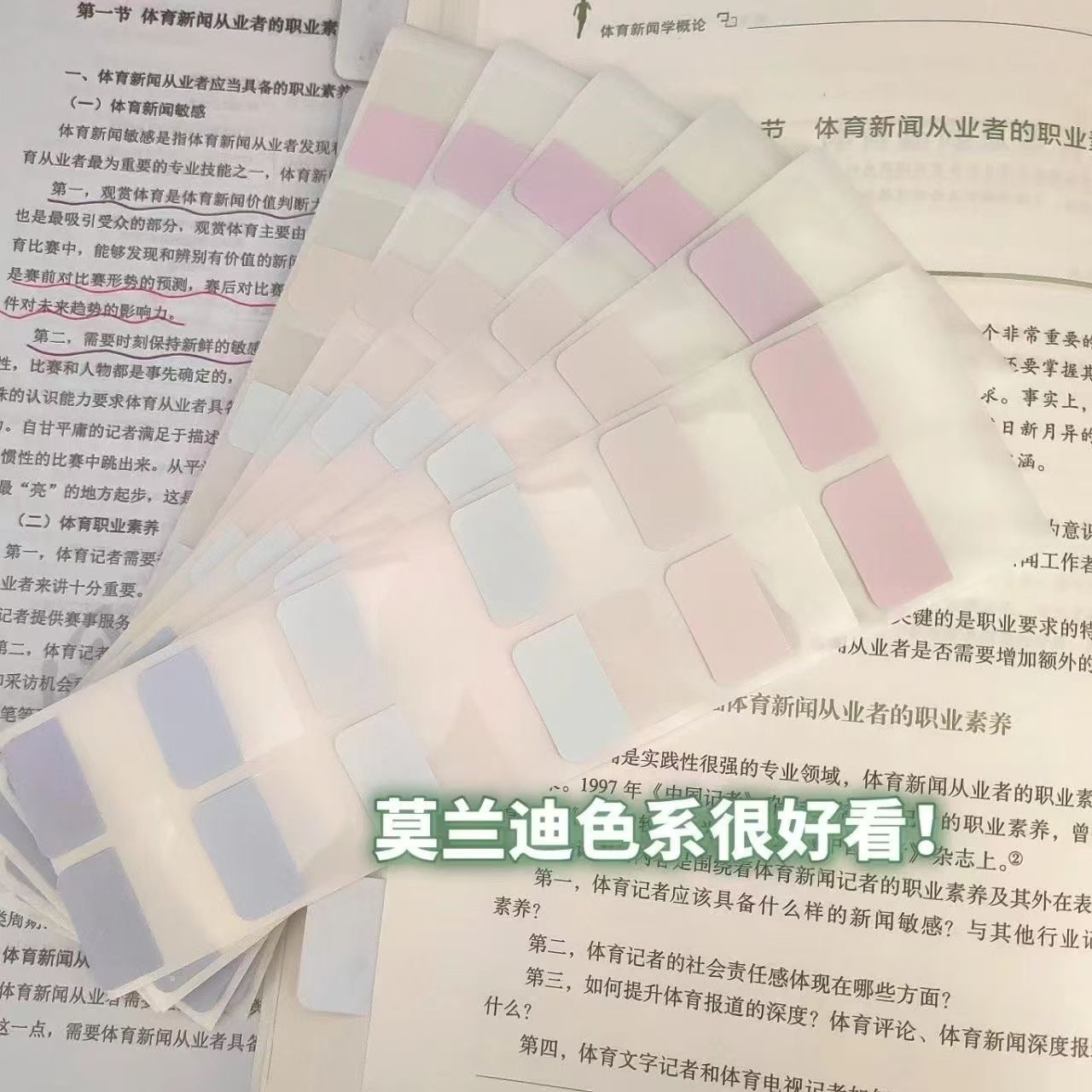 中號索引貼🎀