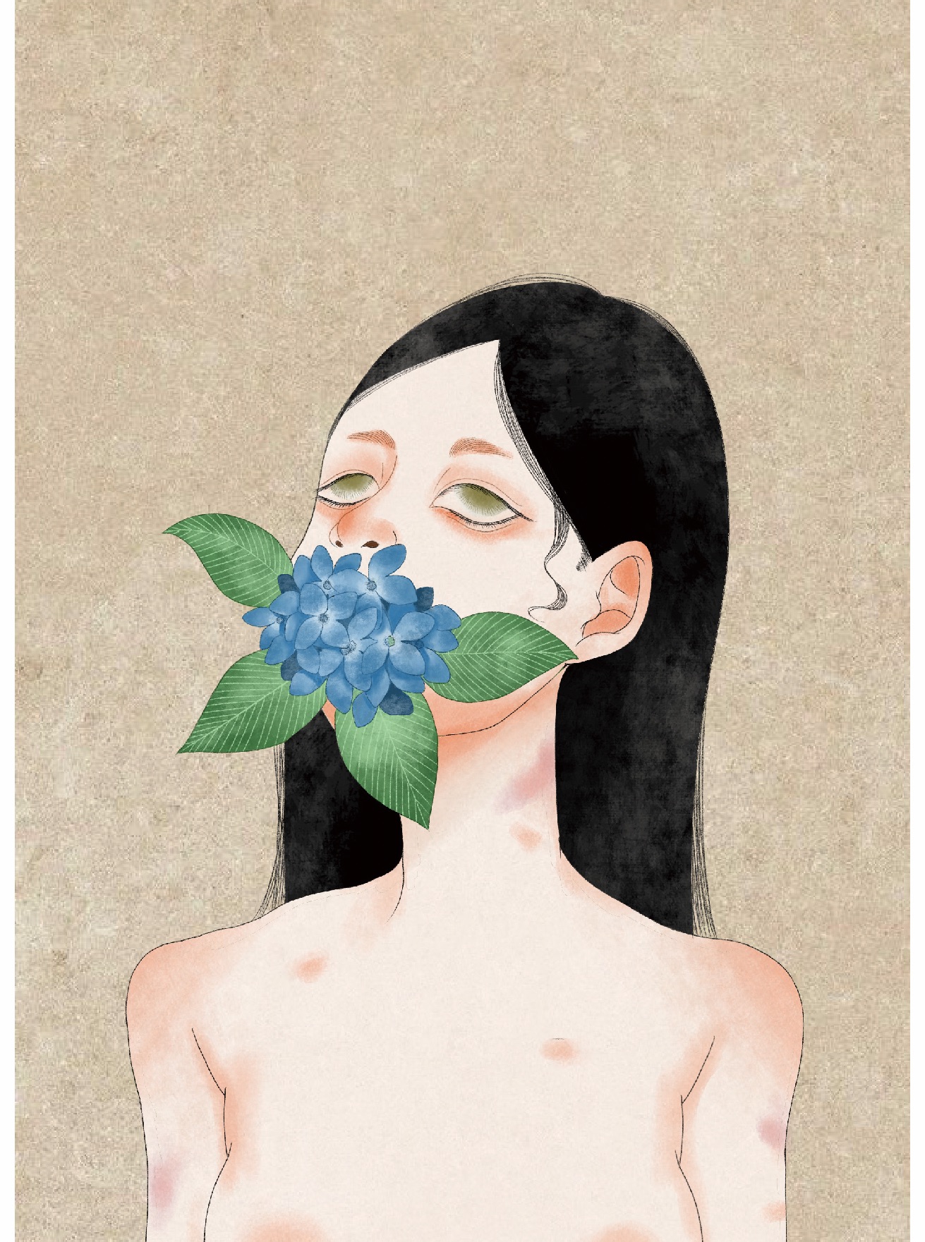 繡球花.