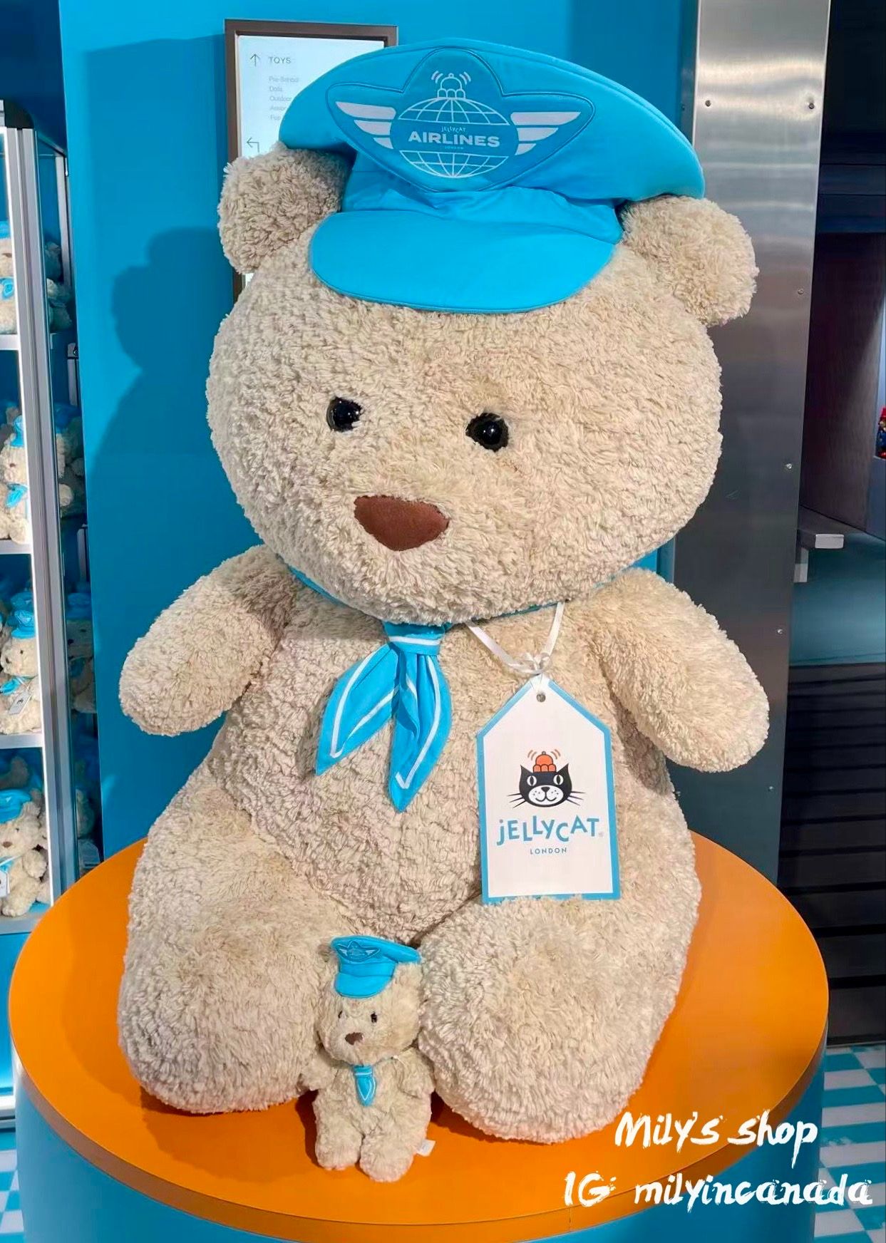 機長小巴熊 英國限定新品