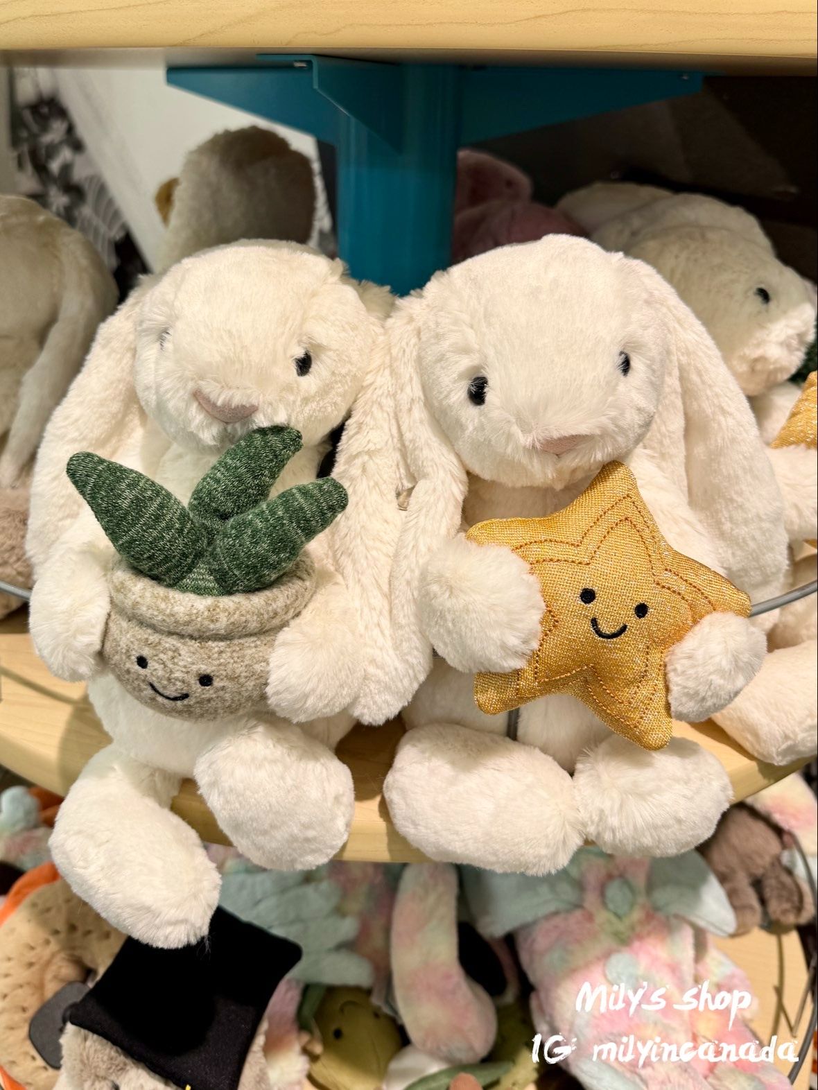 Jellycat 兔兔送禮組合 🎁 已搭配好 含紙袋包裝