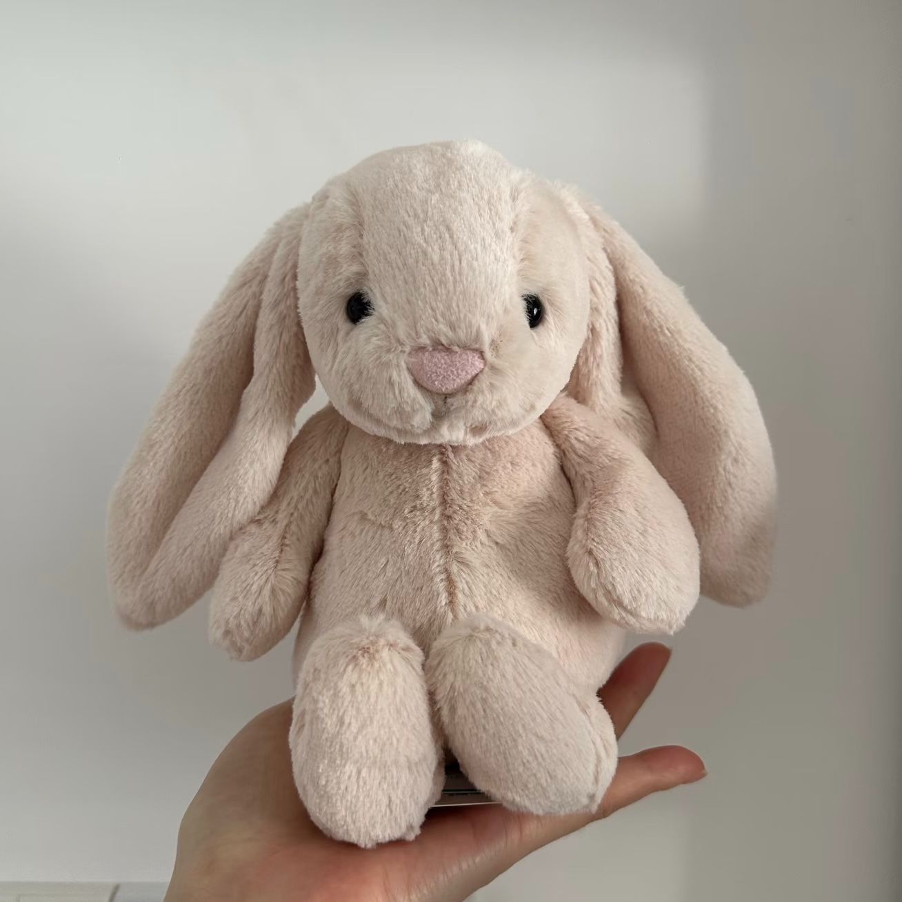 Jellycat 新品 小寶寶兔