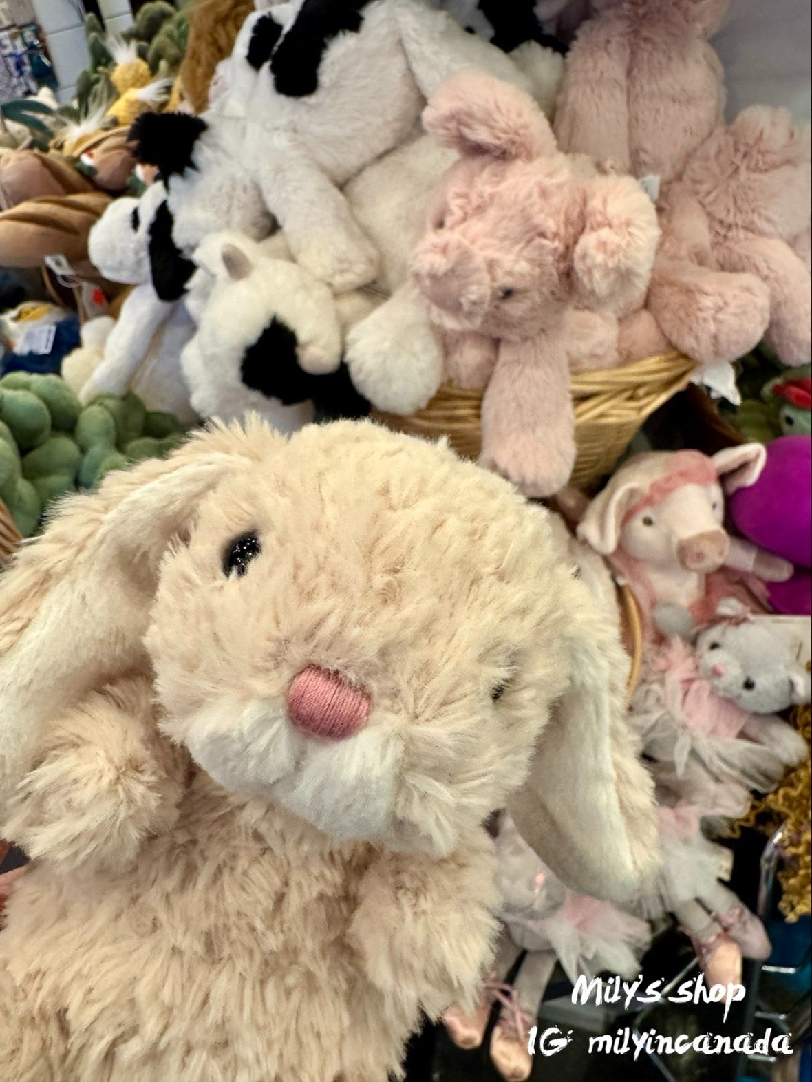 Jellycat 美味及Little系列