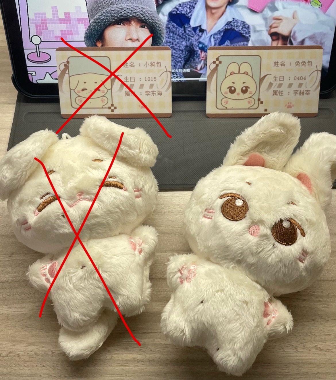 中飯製兔娃🐰（請先點進商品描述查看～）