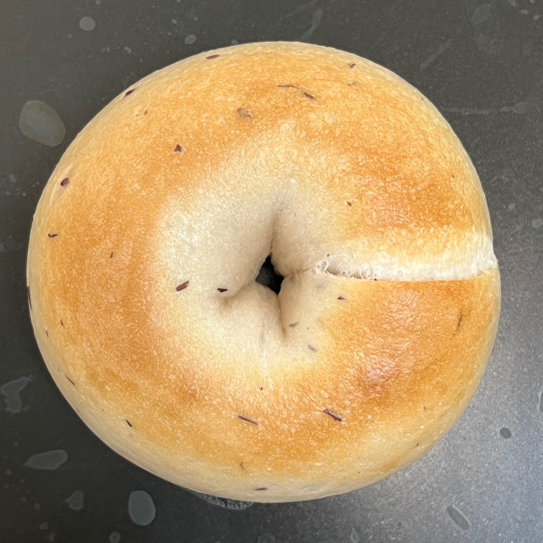 蔓越莓乳酪貝果