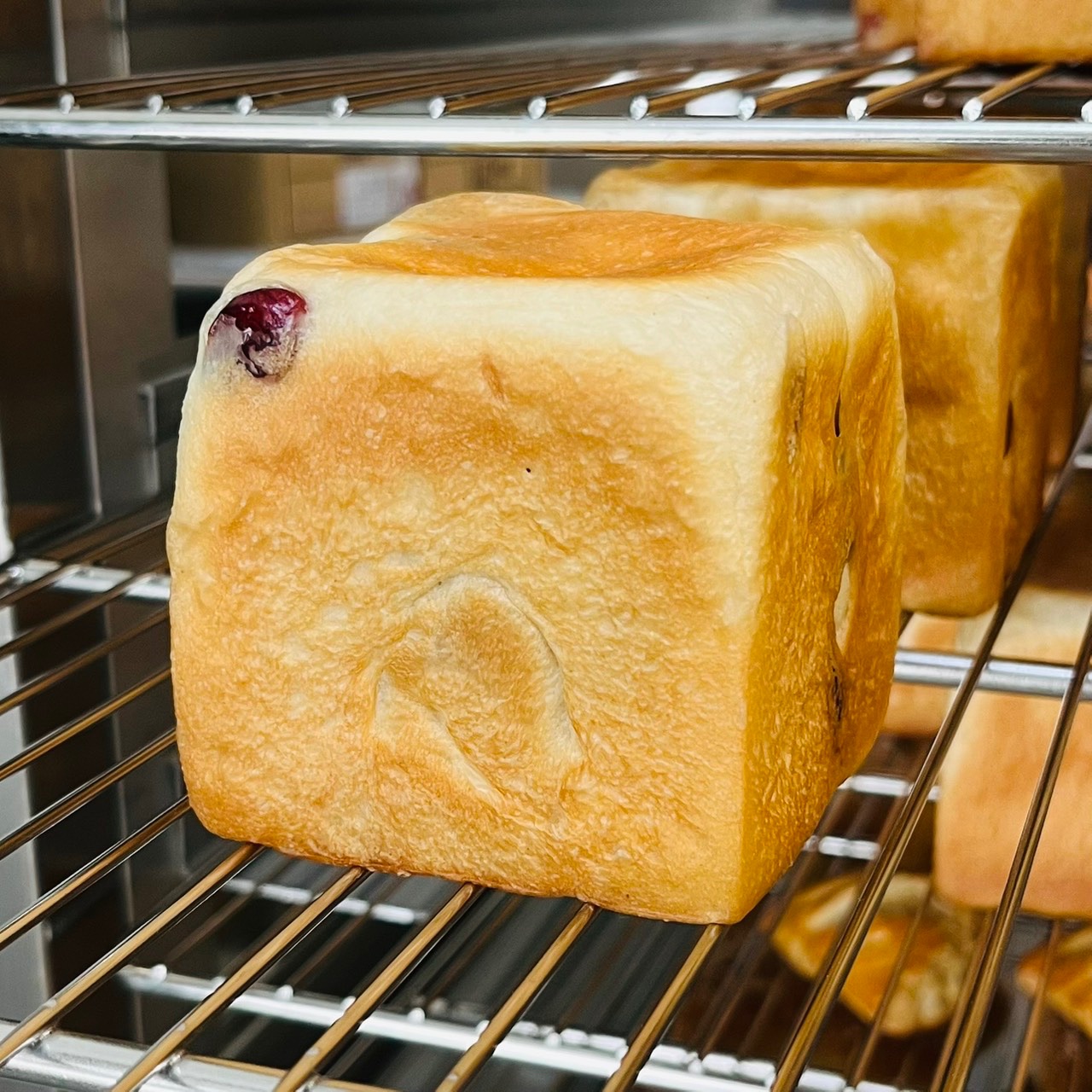 月底救星限定組合優惠 蔓越莓小吐司