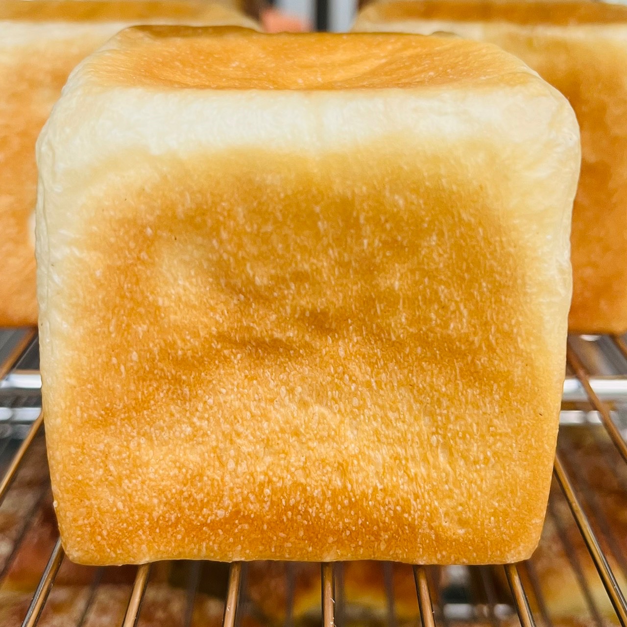 月底救星限定組合優惠 牛奶小吐司