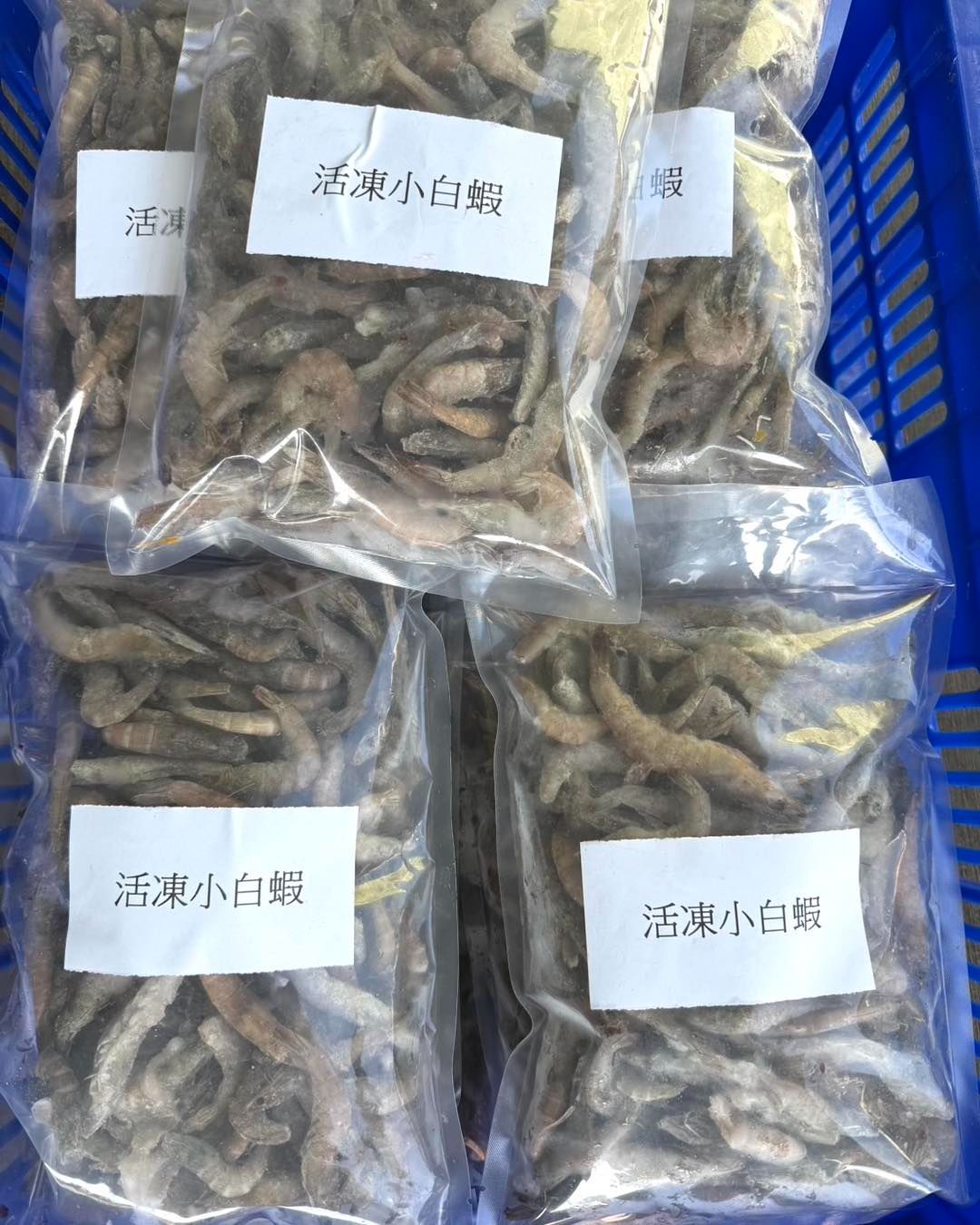 活凍超鮮 小白蝦