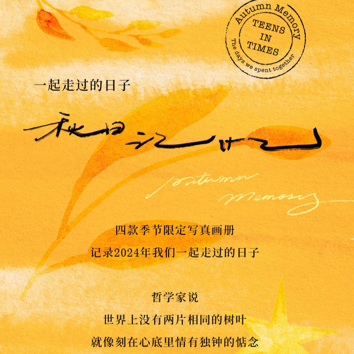 秋日全套 卡包已拆