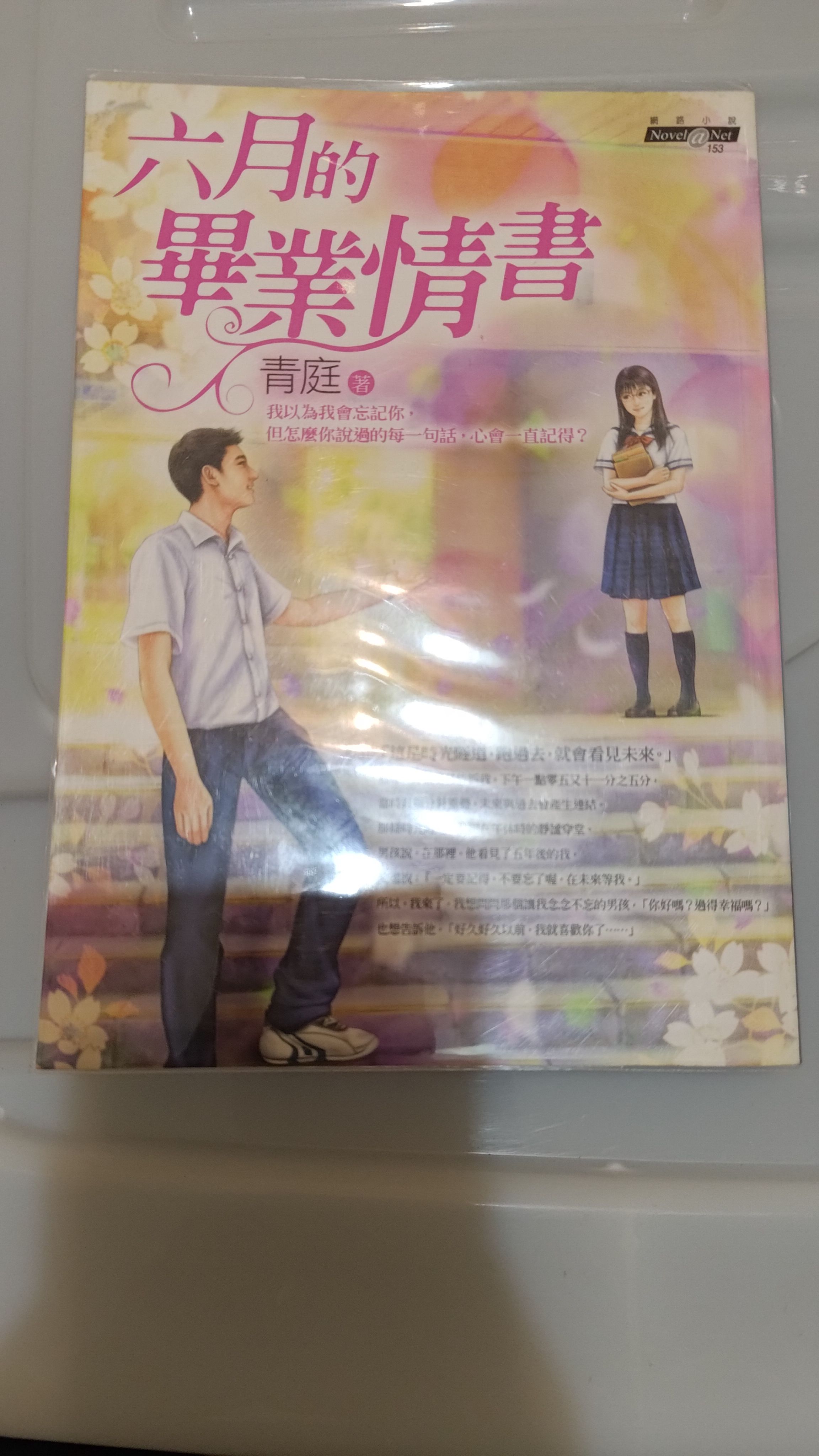 小說