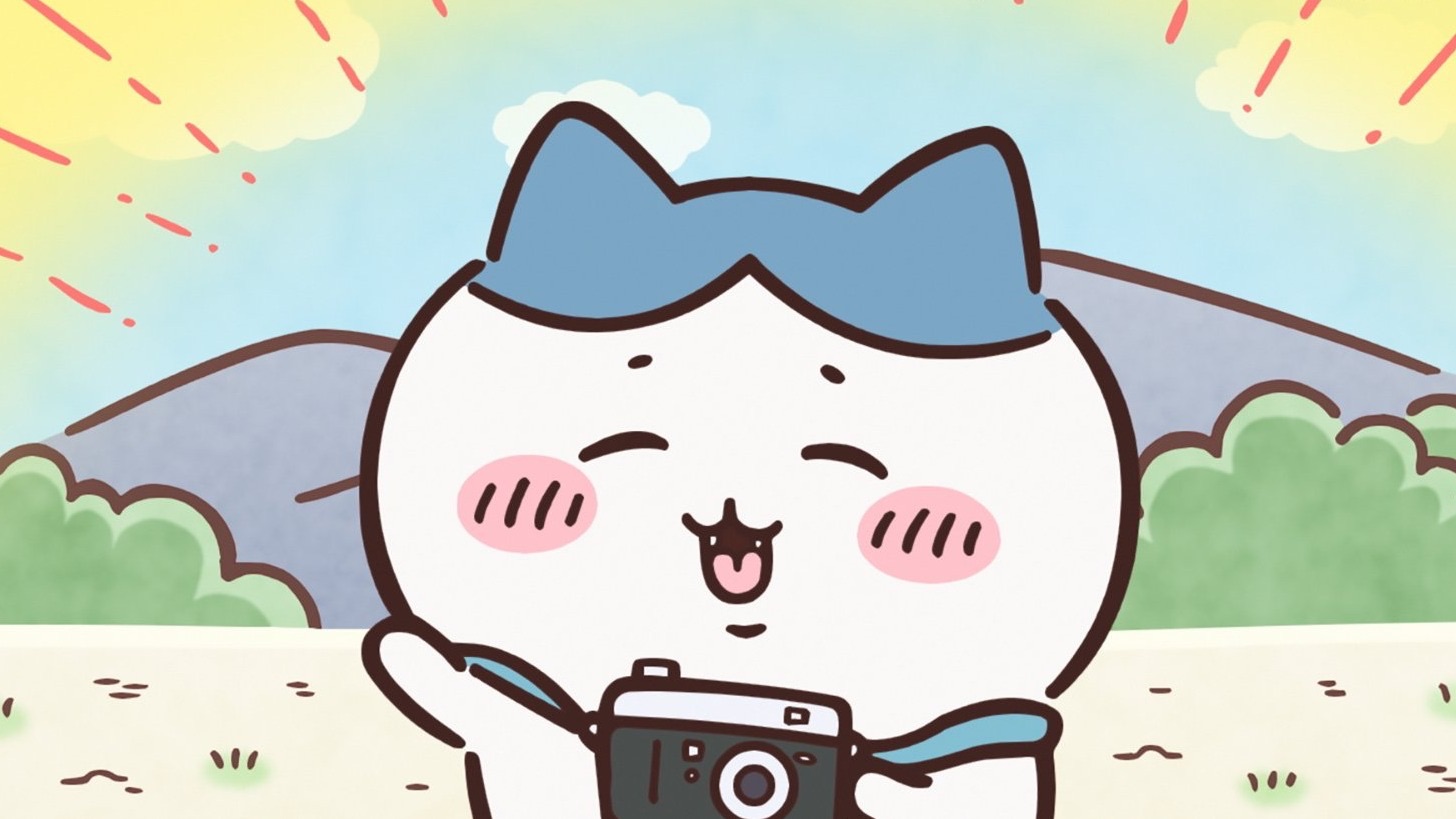 小八