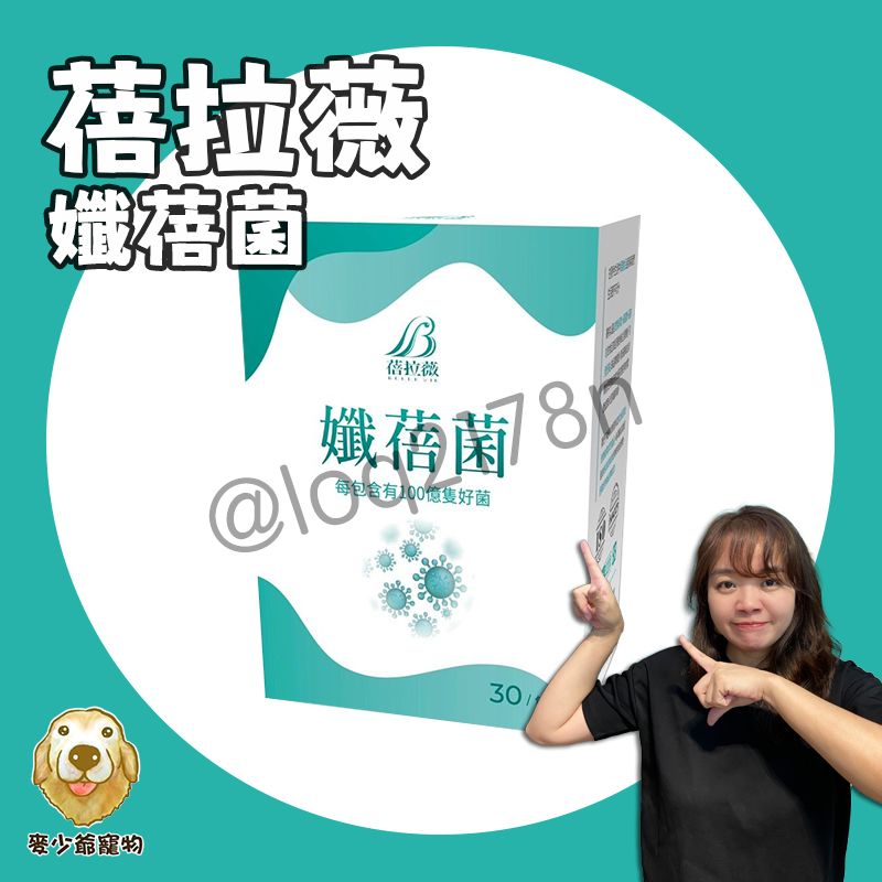 孅蓓菌
