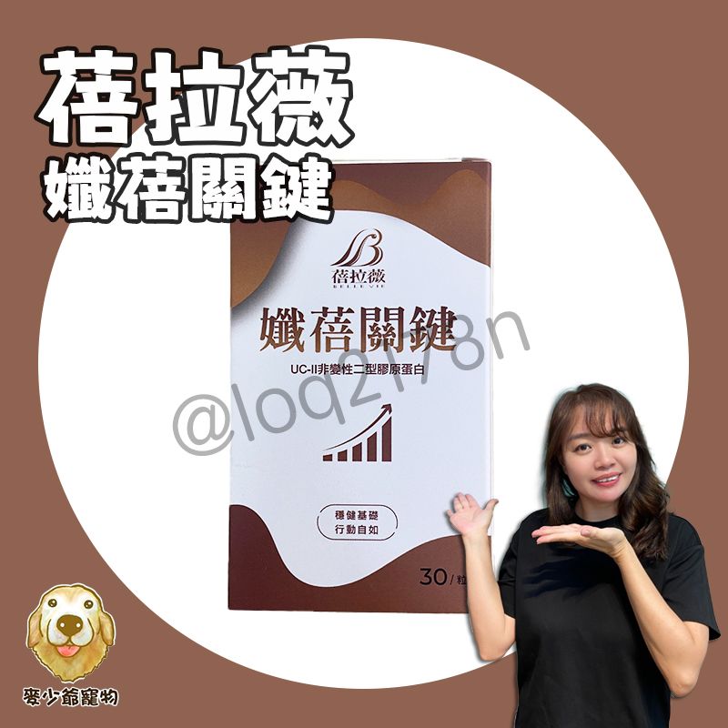 孅蓓關鍵