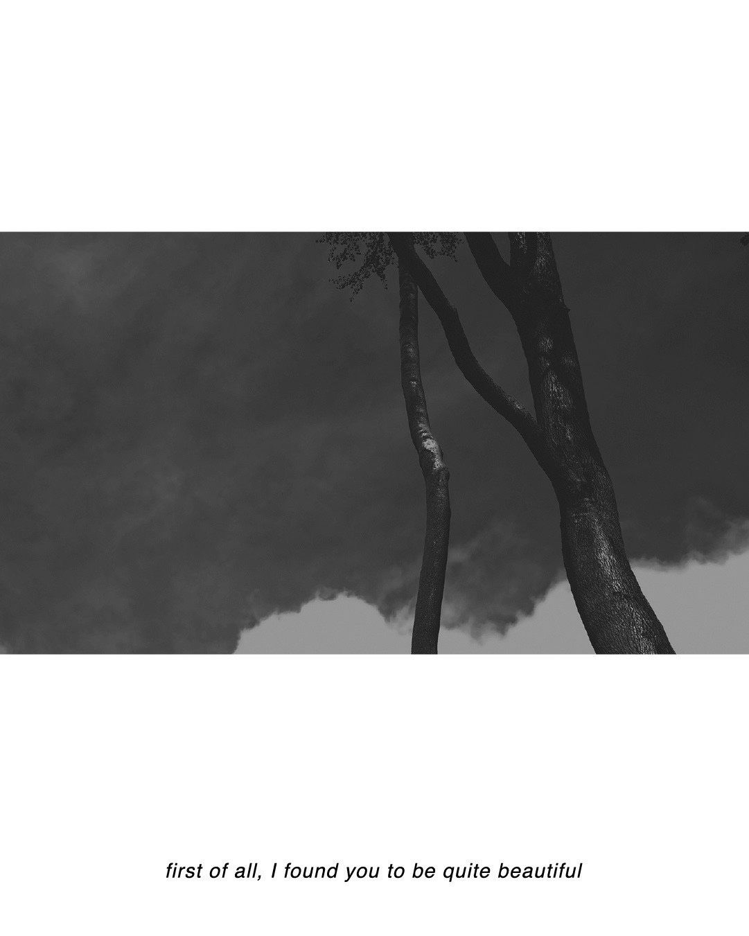 Cinema｜木爵
