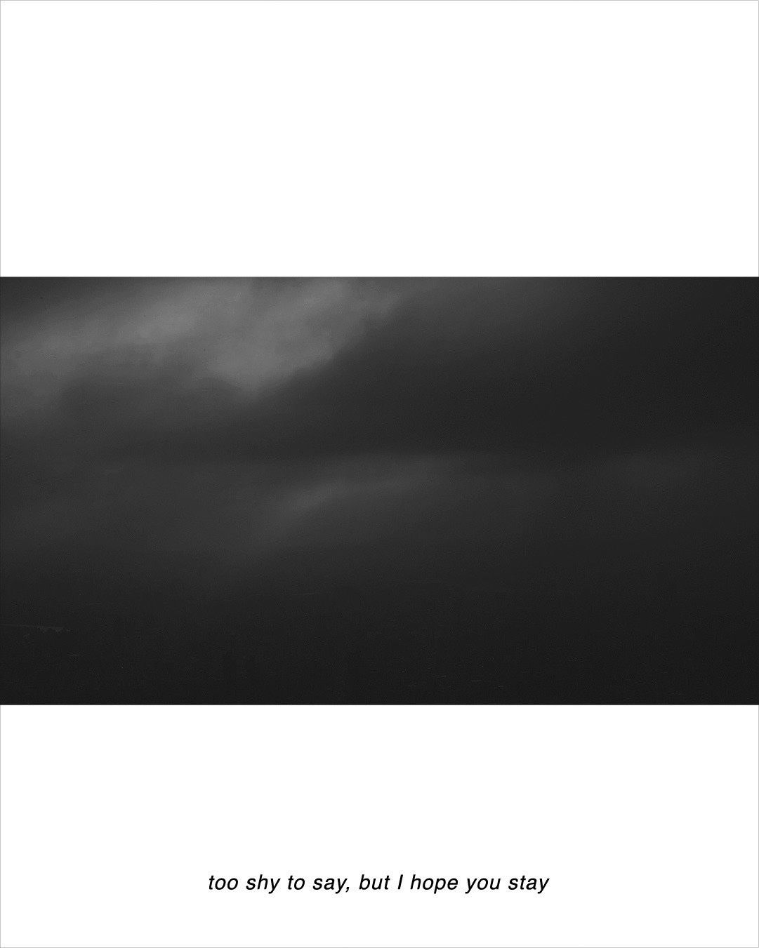 Nocturne｜祕夜