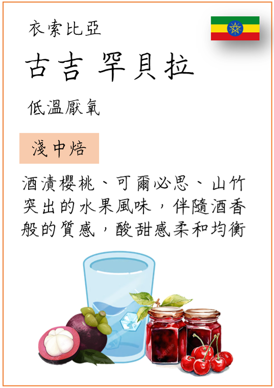 【丸義咖啡】衣索比亞 古吉 罕貝拉 低溫厭氧 | 淺中焙