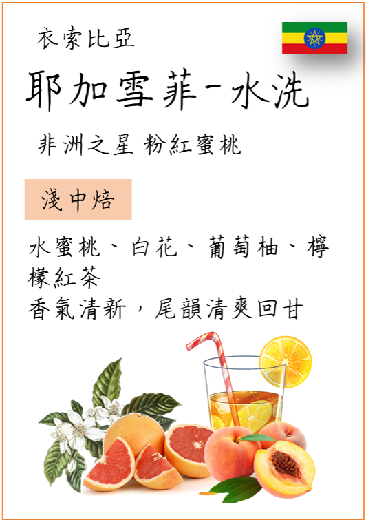 【丸義咖啡】衣索比亞  耶加雪菲 非洲之星 粉紅蜜桃 | 淺焙