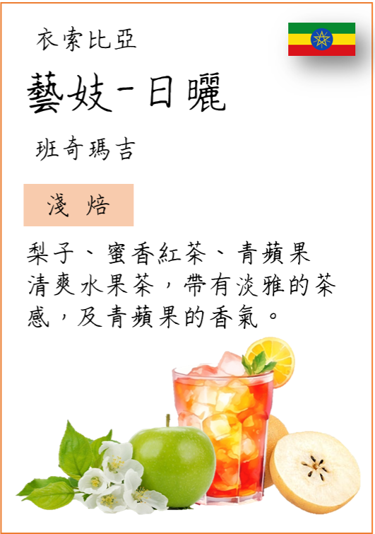 【丸義咖啡】衣索比亞  班奇瑪吉 藝妓 日曬 | 淺焙