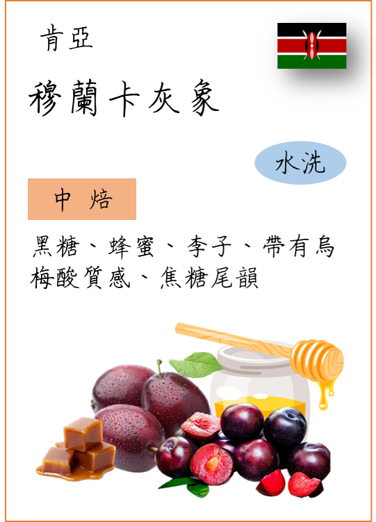 肯亞 穆蘭卡 灰象 水洗 | 中焙