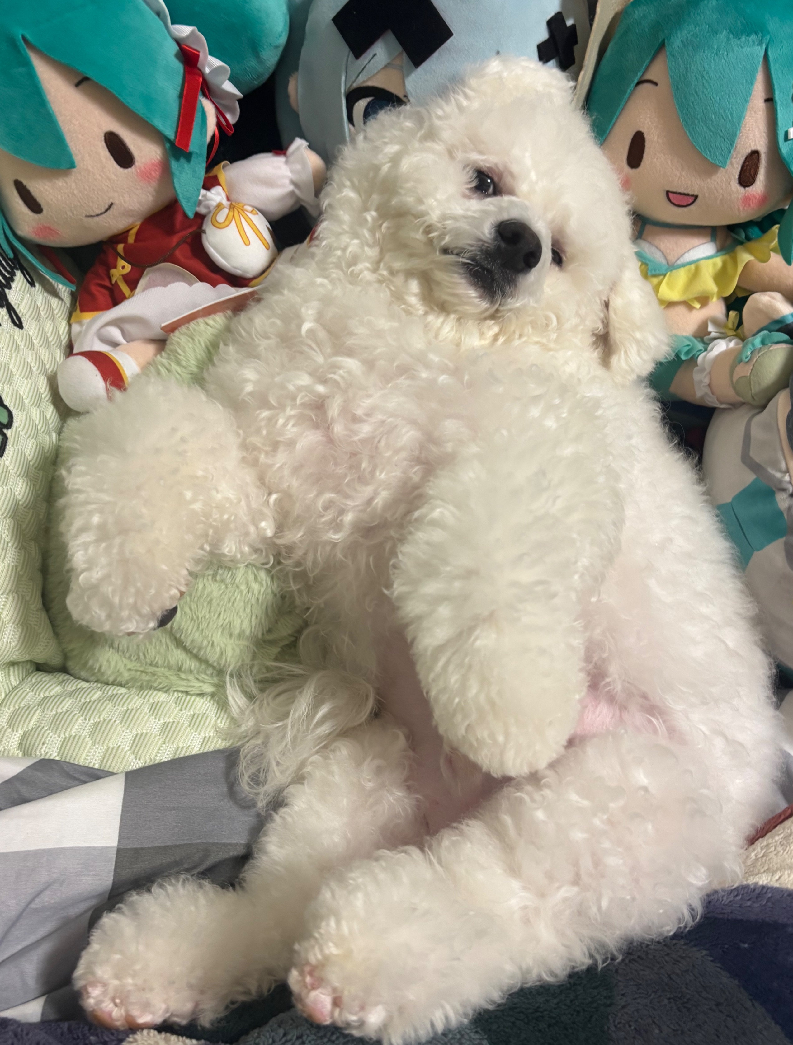 多筆合併，價格含二補、餘款、手續