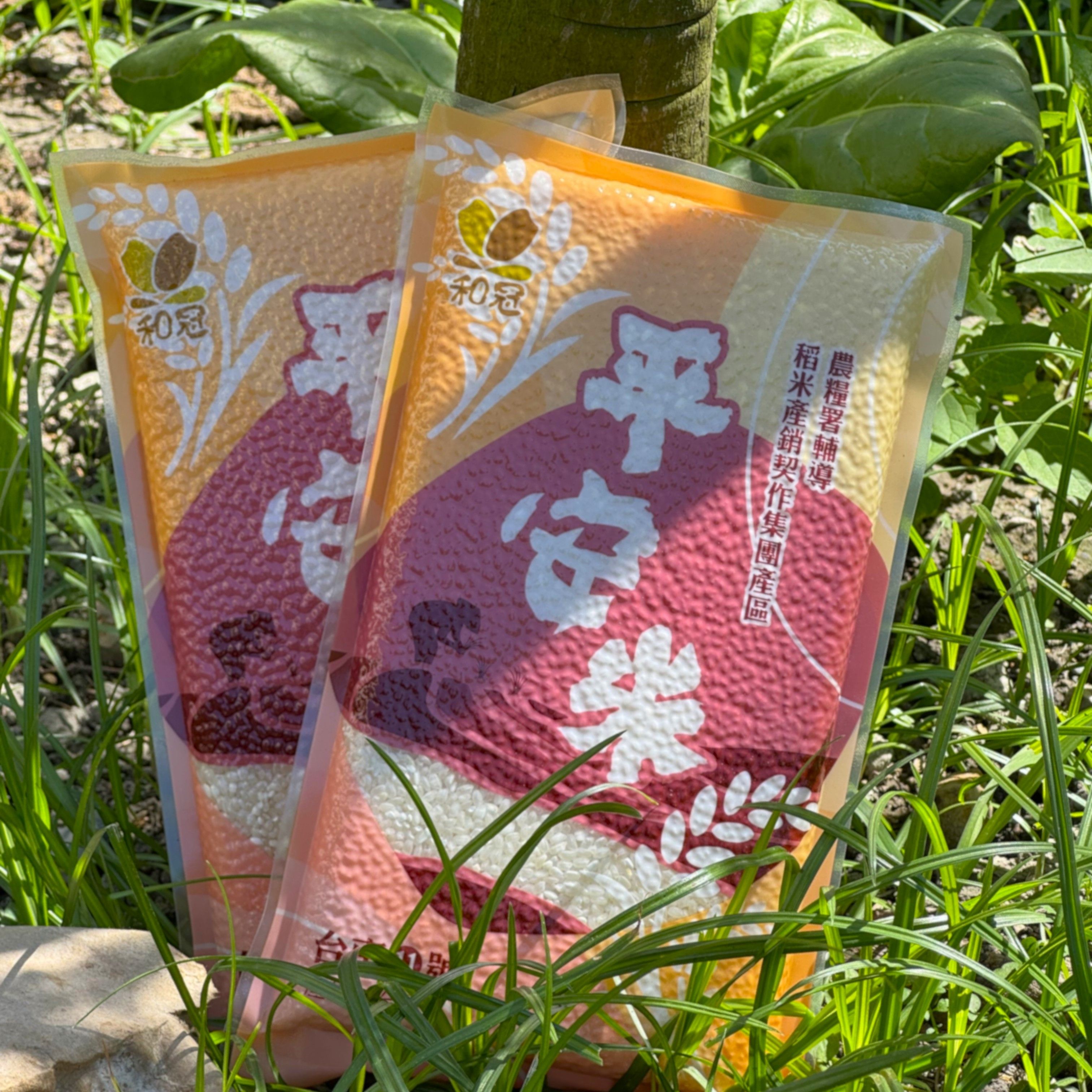 【履歷米】和冠－平安米【600g／900g】