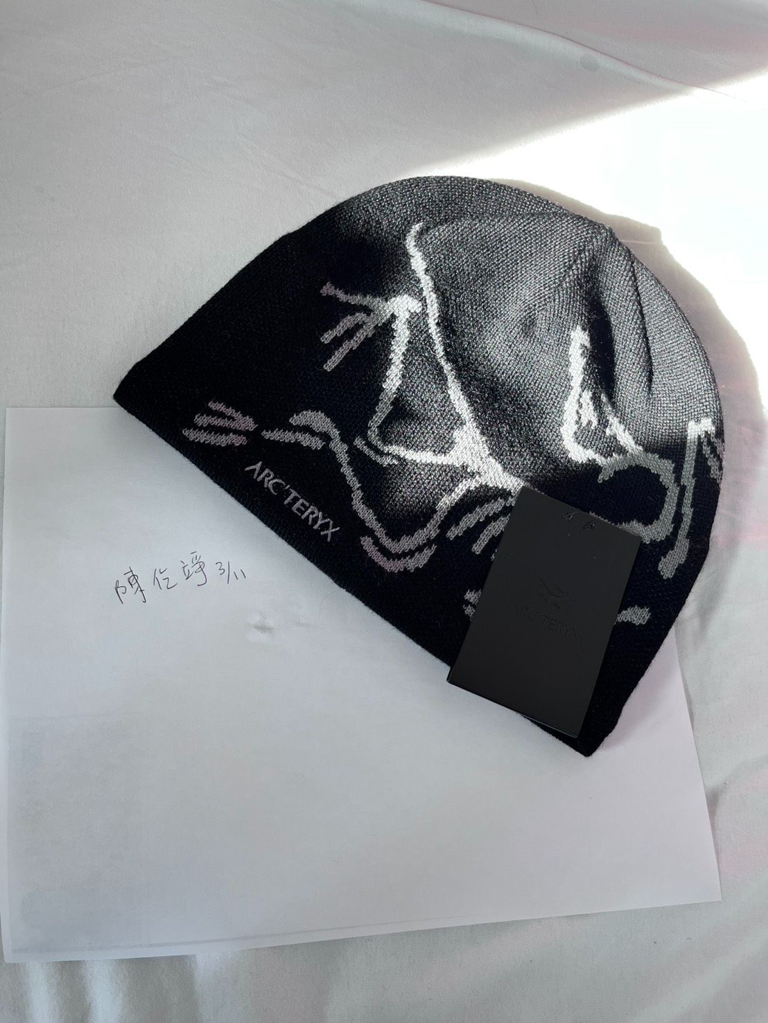 Arc’teryx Bird Head Toque 毛帽