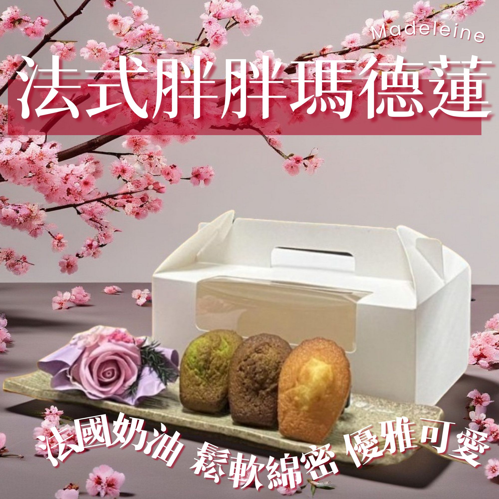 瑪德蓮12入簡約禮盒