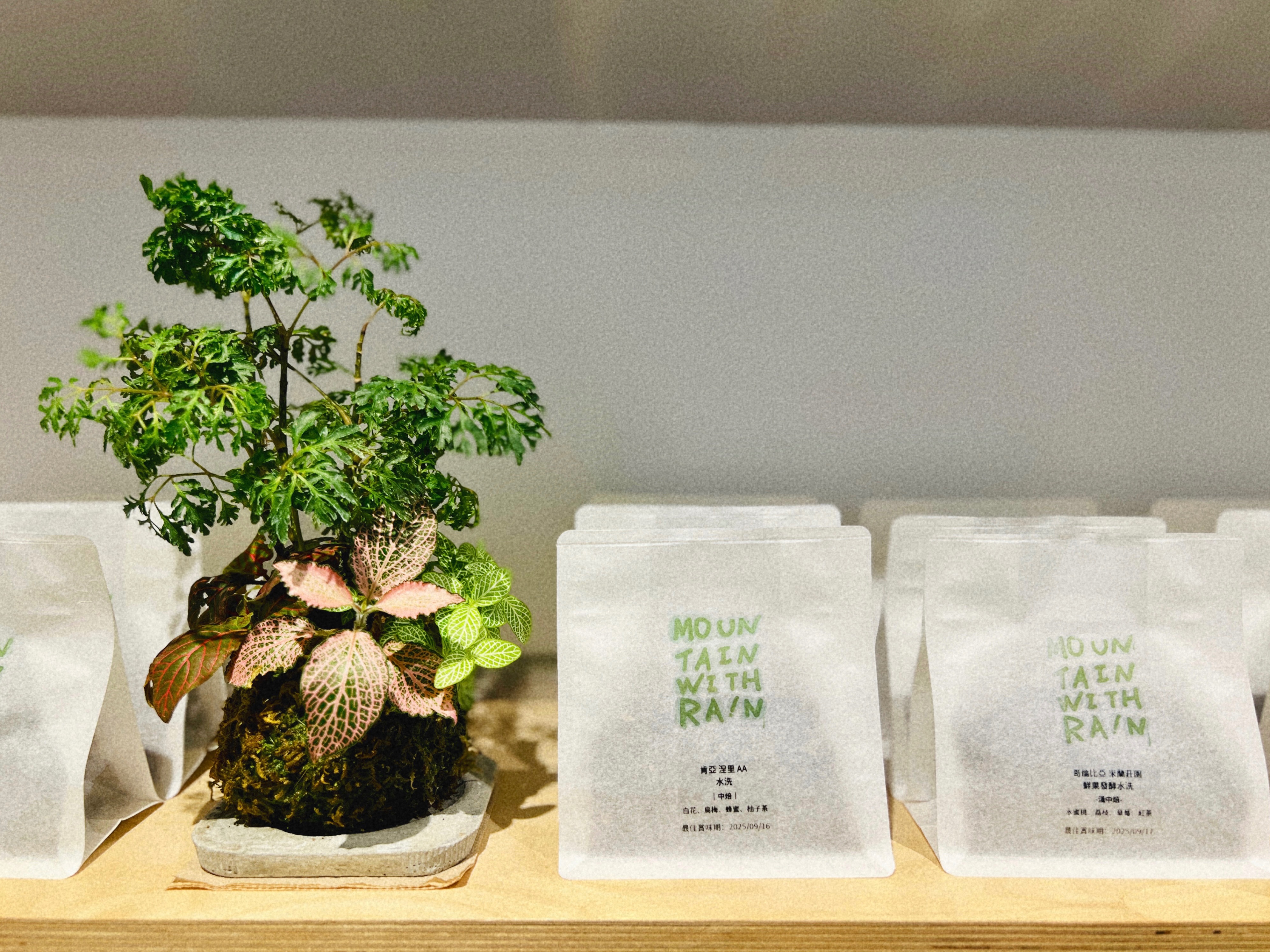 瓜地馬拉 花神 水洗