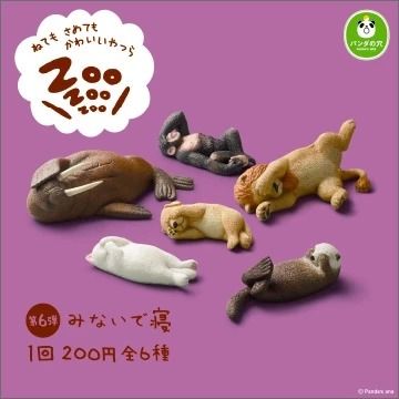 【轉蛋】休眠動物園 P6 全套6種 - TAKARA TOMY 熊貓之穴 扭蛋 整套六款 海獺 海象 獅子