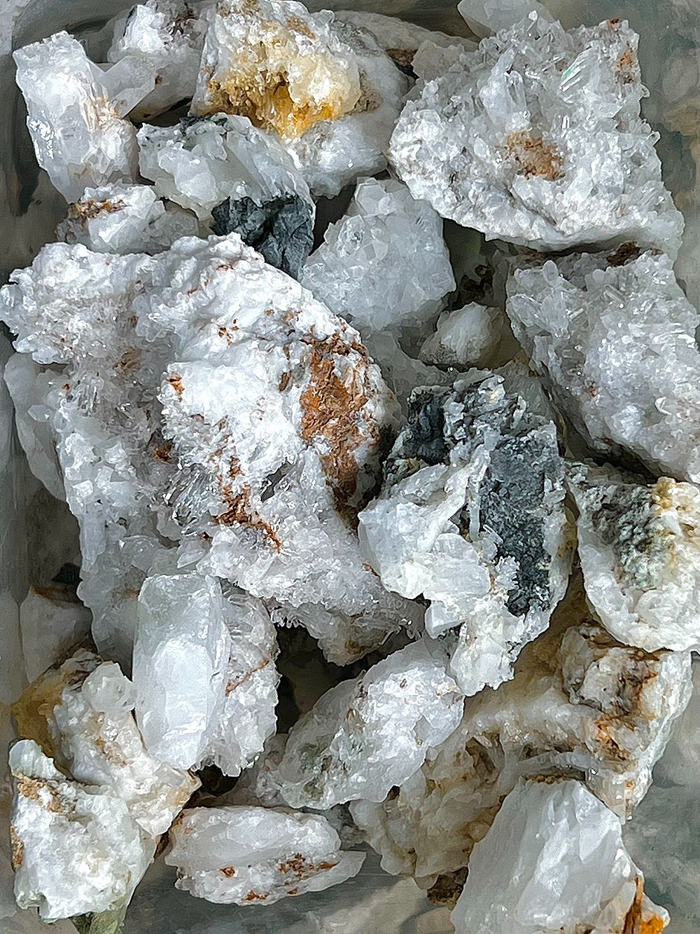 隨緣俗投箱
