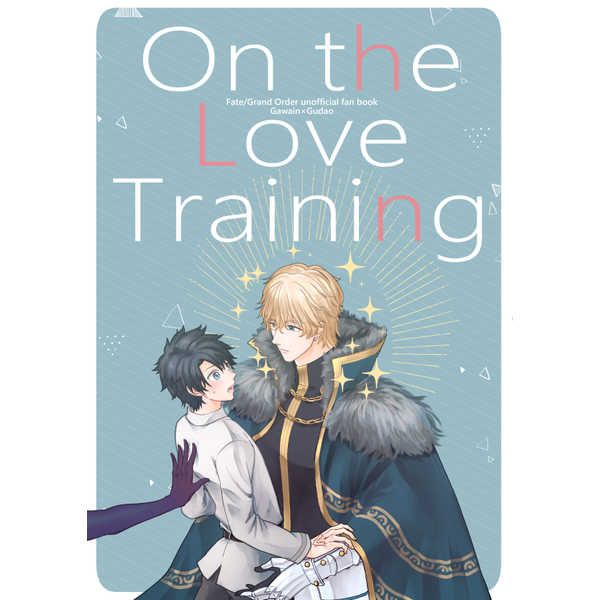 日版Fate系列FGO同人誌-高文男主/がちこち王国【On The Love Training】