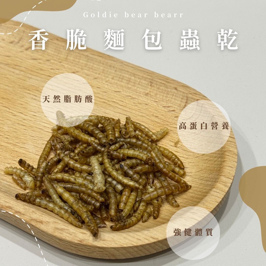 Goldie bear | 『麵包蟲乾』